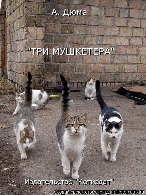Котоматрица: А. Дюма А. Дюма "ТРИ МУШКЕТЕРА" Издательство "Котиздат"