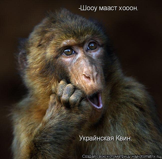 Котоматрица: -Шооу мааст хооон. Украйнская Квин.
