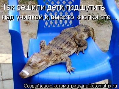 Котоматрица: Так решили дети подшутить  над училкой,и вместо кнопки это...