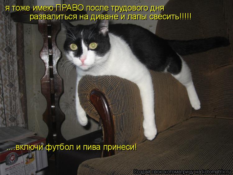Котоматрица: я тоже имею ПРАВО после трудового дня развалиться на диване и лапы свесить!!!!! ....включи футбол и пива принеси!