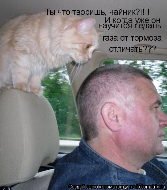 Котоматрица: Ты что творишь, чайник?!!!!  И когда уже он научится педаль газа от тормоза отличать???