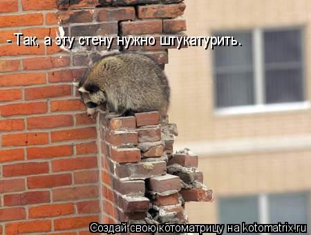 Котоматрица: - Так, а эту стену нужно штукатурить.