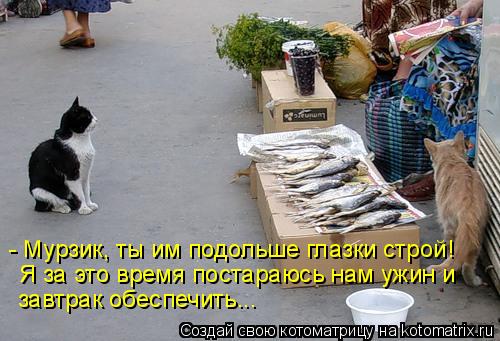 Котоматрица: - Мурзик, ты им подольше глазки строй! Я за это время постараюсь нам ужин и завтрак обеспечить...