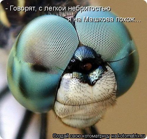 - Говорят, с легкой небритостью я на Машкова похож...... Котоматрица: - Говорят, с легкой небритостью я на Машкова похож...