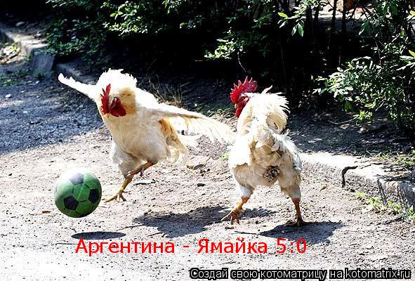 Аргентина - Ямайка 5:0... Котоматрица: Аргентина - Ямайка 5:0