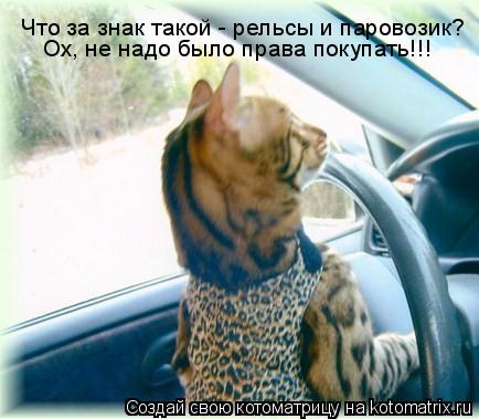 Что за знак такой - рельсы и паровозик? Ох, не надо было права покупать!!!... Котоматрица: Что за знак такой - рельсы и паровозик? Ох, не надо было права покупать!!!