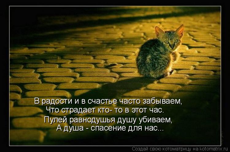 Пулей равнодушья душу убиваем, А душа - спасение для нас... В радости и в счастье часто забываем, Что... Котоматрица: Пулей равнодушья душу убиваем, А душа - спасение для нас... В радости и в счастье часто забываем, Что страдает кто- то в этот час.