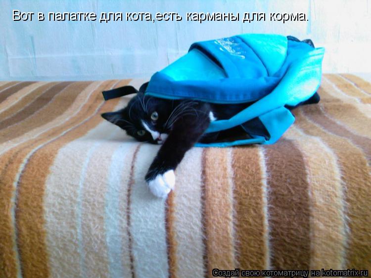 Котоматрица: Вот в палатке для кота,есть карманы для корма.