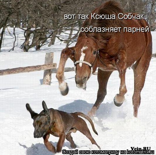 Котоматрица: вот так Ксюша Собчак соблазняет парней