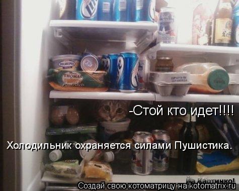 Котоматрица: -Стой кто идет!!!! Холодильник охраняется силами Пушистика.