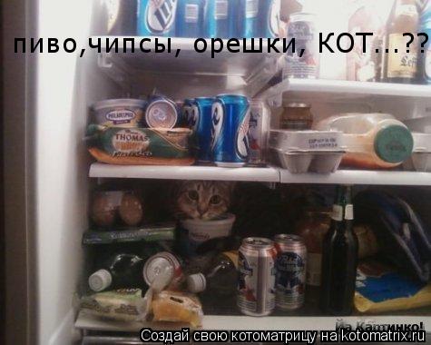 Котоматрица: пиво,чипсы, орешки, КОТ...???