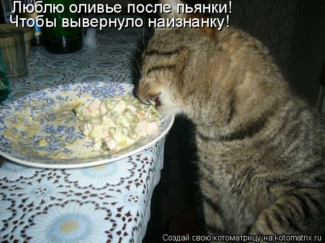 Котоматрица: Люблю оливье после пьянки! Чтобы вывернуло наизнанку!