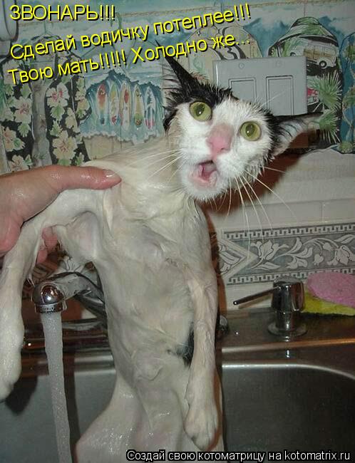 Сделай водичку потеплее!!! Твою мать!!!!! Холодно же... ЗВОНАРЬ!!!... Котоматрица: Сделай водичку потеплее!!! Твою мать!!!!! Холодно же... ЗВОНАРЬ!!!