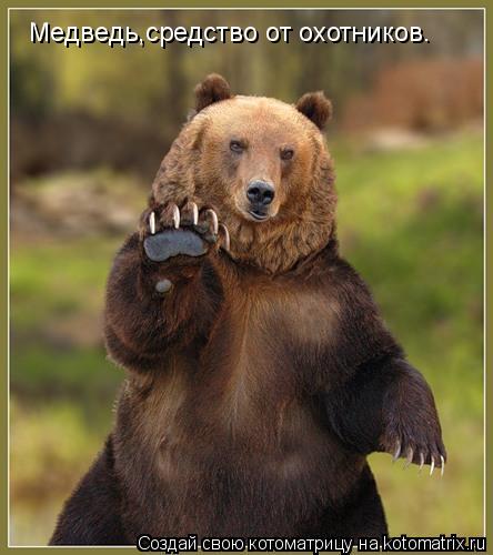 Медведь,средство от охотников.... Котоматрица: Медведь,средство от охотников.