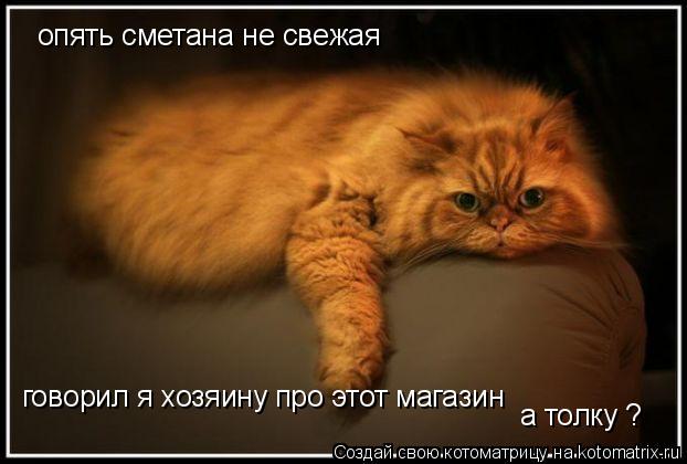 опять сметана не свежая говорил я хозяину про этот магазин а толку ?... Котоматрица: опять сметана не свежая говорил я хозяину про этот магазин а толку ?