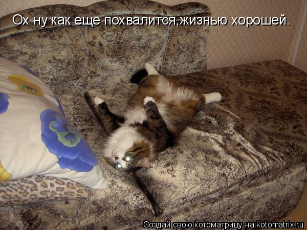 Ох ну как еще похвалится,жизнью хорошей.... Котоматрица: Ох ну как еще похвалится,жизнью хорошей.