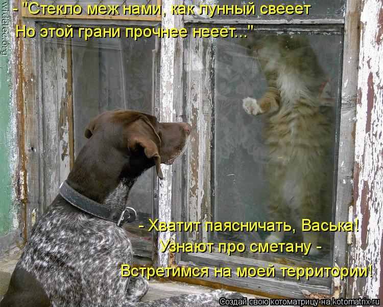 http://kotomatrix.ru/images/lolz/2009/08/12/339341.jpg