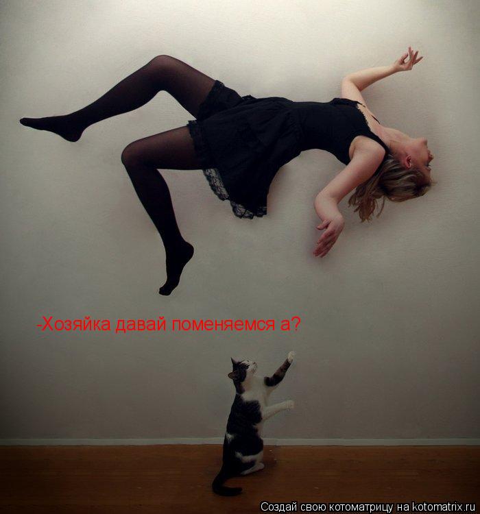 -Хозяйка давай поменяемся а?... Котоматрица: -Хозяйка давай поменяемся а?