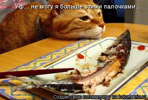 Котоматрица: Уф... не могу я больше этими палочками...