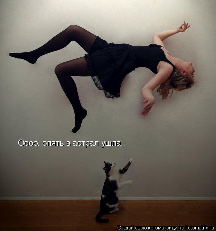 Оооо..опять в астрал ушла..... Котоматрица: Оооо..опять в астрал ушла..