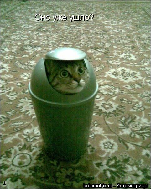 Оно уже ушло?... Котоматрица: Оно уже ушло?