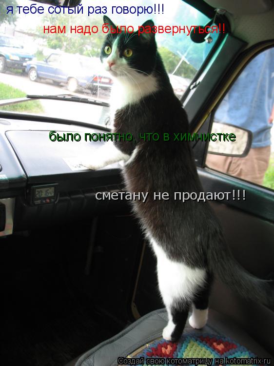 я тебе сотый раз говорю!!! нам надо было развернуться!! было понятно, что в химчистке сметану не п... Котоматрица: я тебе сотый раз говорю!!! нам надо было развернуться!! было понятно, что в химчистке сметану не продают!!!