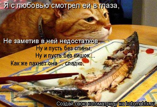 Я с любовью смотрел ей в глаза, Не заметив в ней недостатков Ну и пусть без спины, Ну и пусть без ки... Котоматрица: Я с любовью смотрел ей в глаза, Не заметив в ней недостатков Ну и пусть без спины, Ну и пусть без кишок ... Как же пахнет она ... сладко.