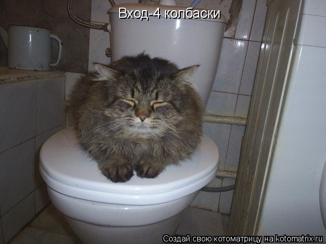 Вход-4 колбаски... Котоматрица: Вход-4 колбаски