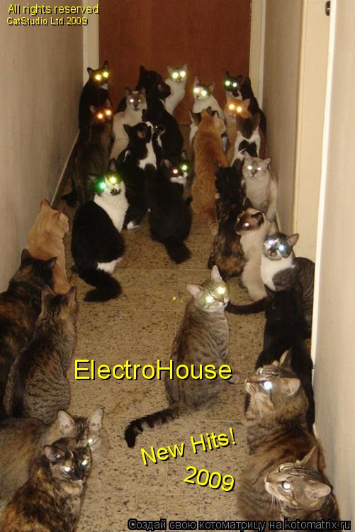 ElectroHouse New Hits! 2009 All rights reserved CatStudio Ltd.2009... Котоматрица: ElectroHouse New Hits! 2009 All rights reserved CatStudio Ltd.2009