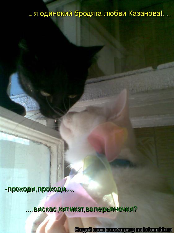я одинокий бродяга любви Казанова!.... -проходи,проходи.... ....вискас,китикэт,валерьяночки? -... Котоматрица: я одинокий бродяга любви Казанова!.... -проходи,проходи.... ....вискас,китикэт,валерьяночки? -