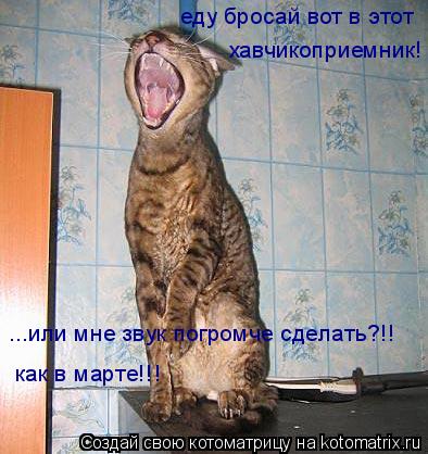 еду бросай вот в этот хавчикоприемник! ...или мне звук погромче сделать?!! как в марте!!!... Котоматрица: еду бросай вот в этот хавчикоприемник! ...или мне звук погромче сделать?!! как в марте!!!