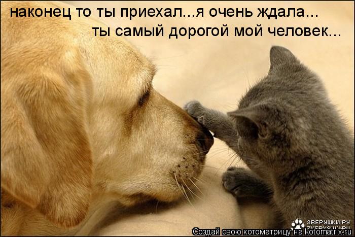 наконец то ты приехал...я очень ждала... ты самый дорогой мой человек...... Котоматрица: наконец то ты приехал...я очень ждала... ты самый дорогой мой человек...
