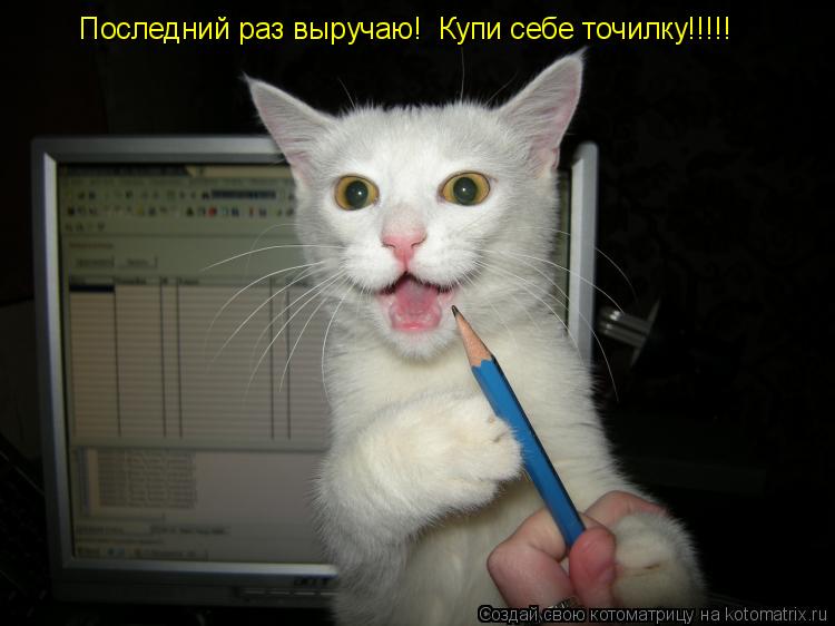 Последний раз выручаю! Купи себе точилку!!!!!... Котоматрица: Последний раз выручаю! Купи себе точилку!!!!!