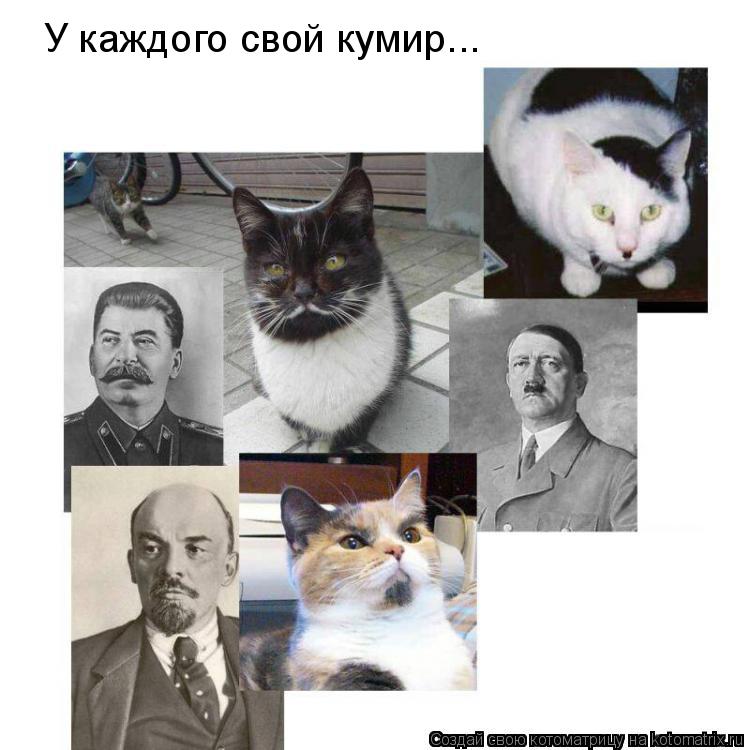 У каждого свой кумир...... Котоматрица: У каждого свой кумир...