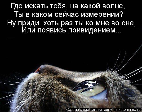 Где искать тебя, на какой волне, Ты в каком сейчас измерении? Или появись привидением... Ну приди хо... Котоматрица: Где искать тебя, на какой волне, Ты в каком сейчас измерении? Или появись привидением... Ну приди хоть раз ты ко мне во сне,
