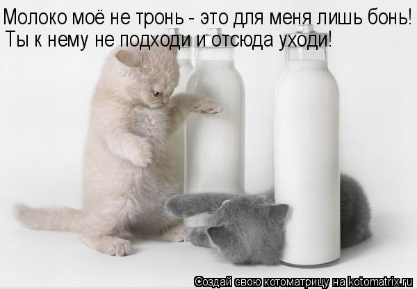 Котоматрица: Молоко моё не тронь - это для меня лишь бонь! Ты к нему не подходи и отсюда уходи!