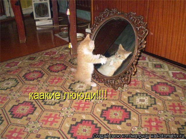 Котоматрица: каакие лююди!!!!