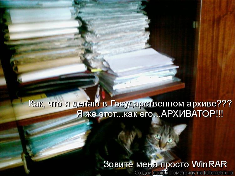 Как, что я делаю в Государственном архиве??? Я же этот...как его...АРХИВАТОР!!! Зовите меня просто W... Котоматрица: Как, что я делаю в Государственном архиве??? Я же этот...как его...АРХИВАТОР!!! Зовите меня просто WinRAR