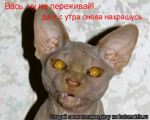 Вась, ну не переживай!.. да я с утра снова накрашусь...... Котоматрица: Вась, ну не переживай!.. да я с утра снова накрашусь...