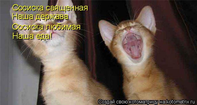 Котоматрица: Сосиска священная Наша держава Сосиска любимая Наша еда!