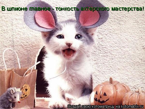 Котоматрица: В шпионе главное - тонкость актерского мастерства!