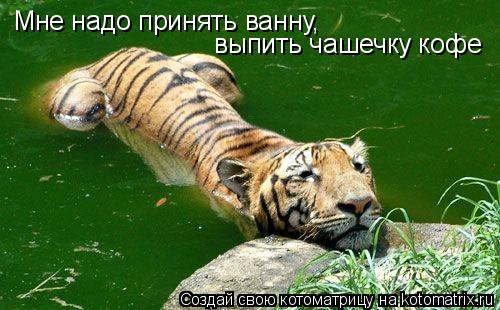 Котоматрица: Мне надо принять ванну,  выпить чашечку кофе