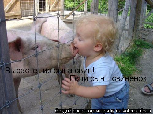 Котоматрица: Вырастет из сына свин! Если сын - свинёнок