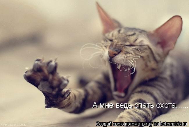 Котоматрица: А мне ведь спать охота......