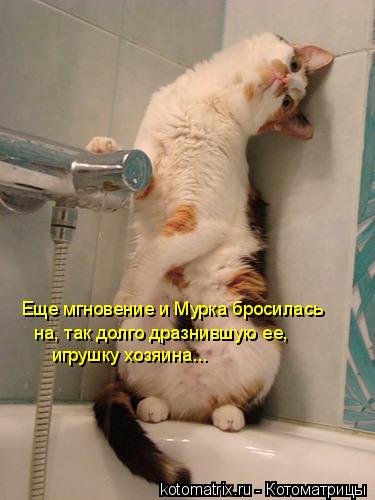 Котоматрица: Еще мгновение и Мурка бросилась на, так долго дразнившую ее,  игрушку хозяина...