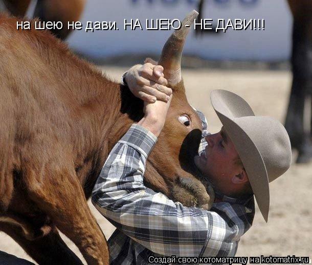 Котоматрица: на шею не дави. НА ШЕЮ - НЕ ДАВИ!!!