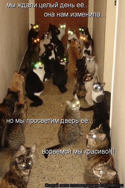 Котоматрица: она нам изменила... мы ждали целый день её... но мы просветим дверь её... ворвёмся мы красиво!!!