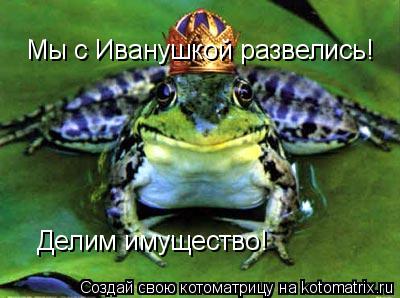 Котоматрица: Мы с Иванушкой развелись! Делим имущество!