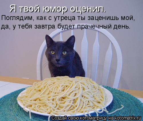 Котоматрица: Я твой юмор оценил. Поглядим, как с утреца ты заценишь мой, да, у тебя завтра будет прачечный день.