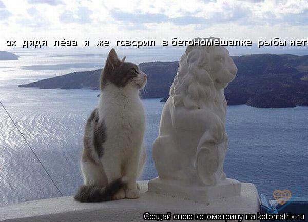 Котоматрица: эх  дядя  лёва  я  же  говорил  в бетономешалке  рыбы нет!